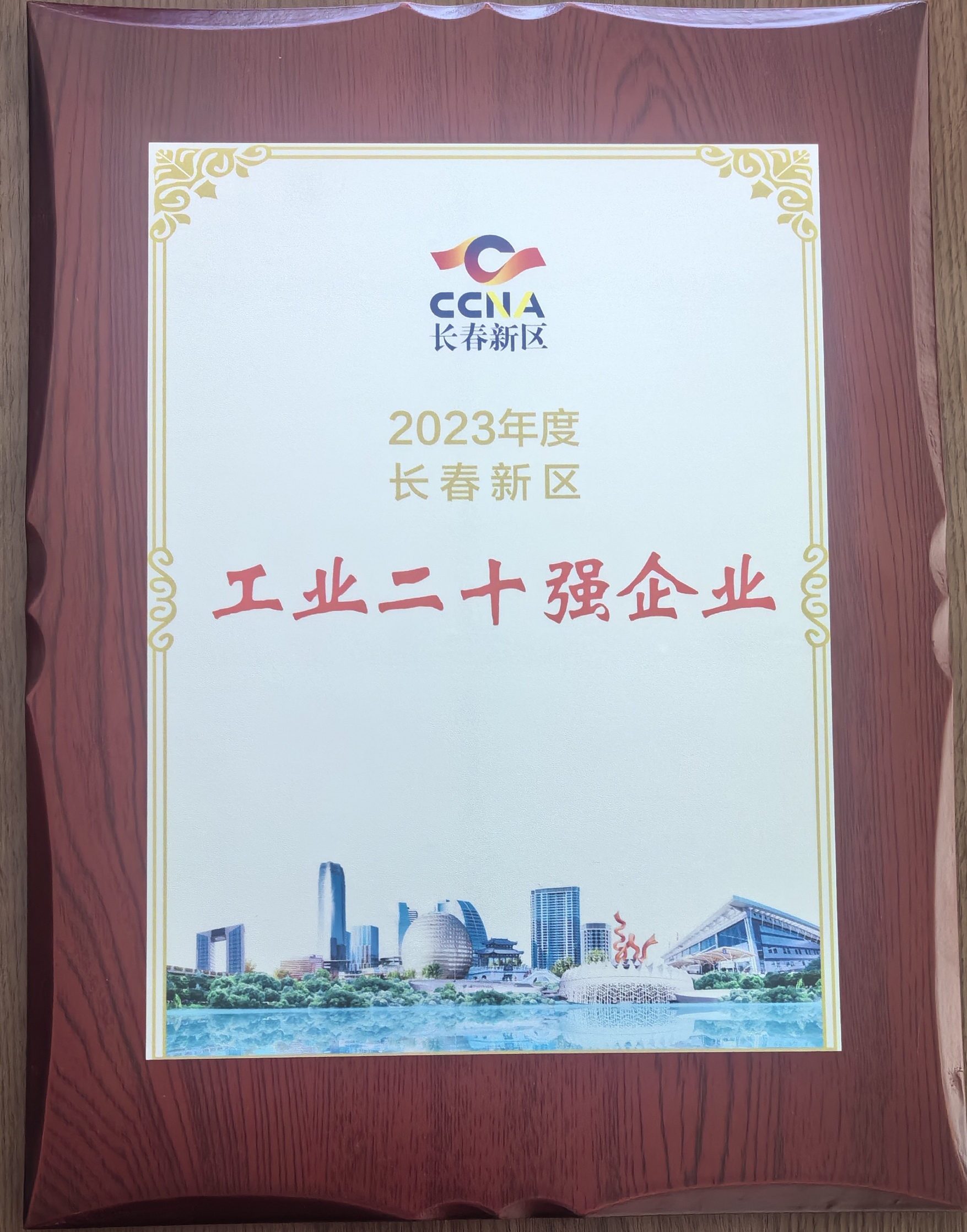 2. 新能源事业部哔咔漫画
李尔电器——2023年新区工业20强企业照片.jpg